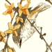 Yukoku Matsui Gallery